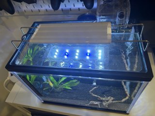 Acuario 10L