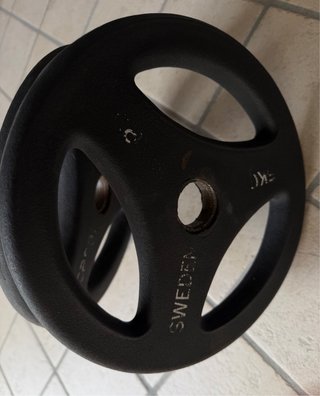 2 Dischi Ghisa 5kg Palestra Casall Sweden