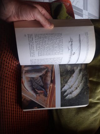 El Gran Libro de la Pesca en Aguas Dulces