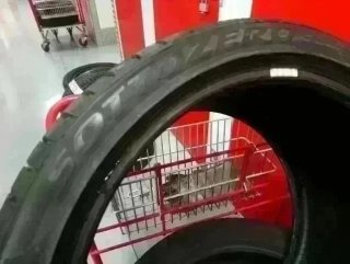 305 30 R20 103W M+S Pirelli - 1 neumático +95%