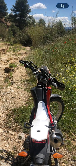 Beta Alp 200 Enduro Trial 2019