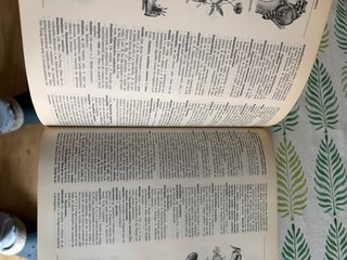 Libro Diccionario Xerais da Lingua