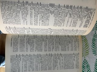 Libro Diccionario Xerais da Lingua