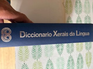 Libro Diccionario Xerais da Lingua