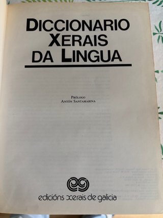 Libro Diccionario Xerais da Lingua