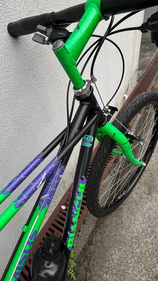 Bicicleta Bianchi Thomisus 26''