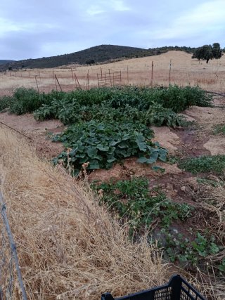 Parcela rustica en Fontanarejo