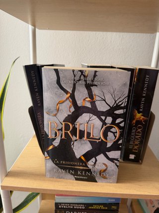 Saga Prisionera de Oro de Raven Kennedy en español