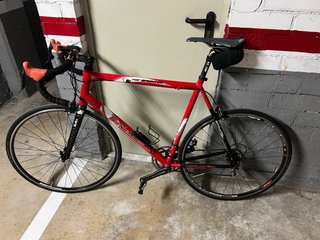 Bottecchia Top Cruiser Talla 60 Campagnolo