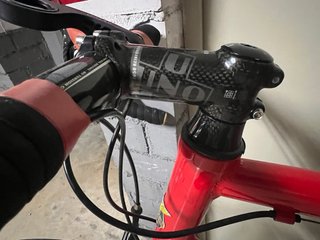 Bottecchia Top Cruiser Talla 60 Campagnolo