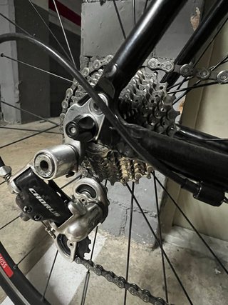 Bottecchia Top Cruiser Talla 60 Campagnolo