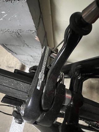 Bottecchia Top Cruiser Talla 60 Campagnolo