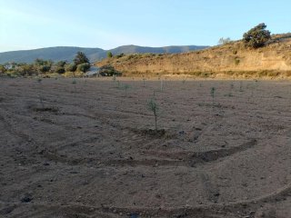 Terreno rústico con agua en Alpujarra