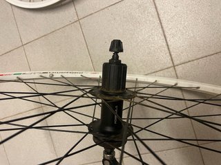 Llantas 29” MEGAMO 622X17C ALLOY Blancas