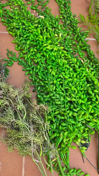 Lote Flores y Hojas Artificiales Variadas