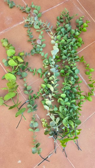 Lote Flores y Hojas Artificiales Variadas