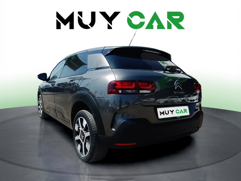 Citroën C4 Cactus 1.6 BlueHDI S&S Live 2019, foto 6