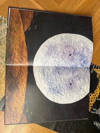 Libro infantil "¿A qué sabe la luna?"