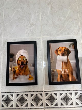 Cuadros personalizados para mascotas