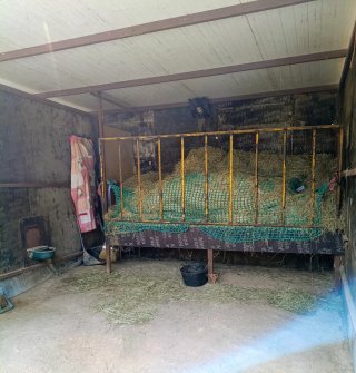 Pupilaje de caballos