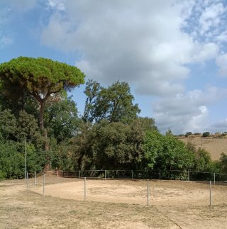 Pupilaje de caballos