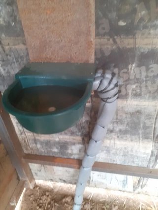 Pupilaje de caballos