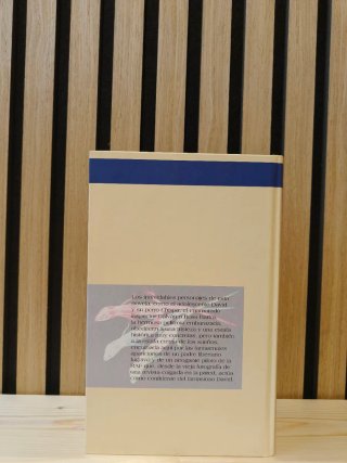 Rabos de lagartija