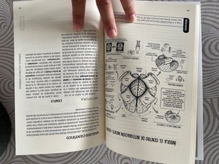 Neurosimple. Un viaje al centro de tu cerebro.
