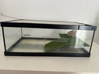 Terrario para tortugas