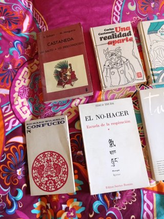 Lote libros