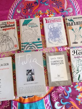 Lote libros