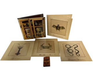 Fantômas Wunderkammer Vinilo