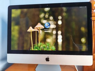 iMac 21.5" (Mid 2017) – 8GB RAM – SSD 256GB