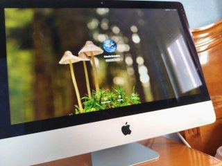 iMac 21.5" (Mid 2017) – 8GB RAM – SSD 256GB