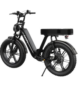 Ebike SABWAY Rider Pro