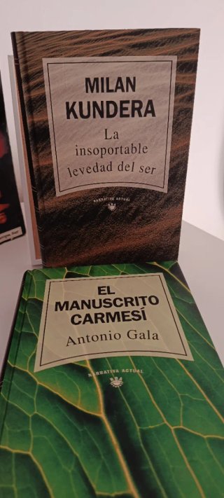 Lote de Libros / Novelas Imprescindibles