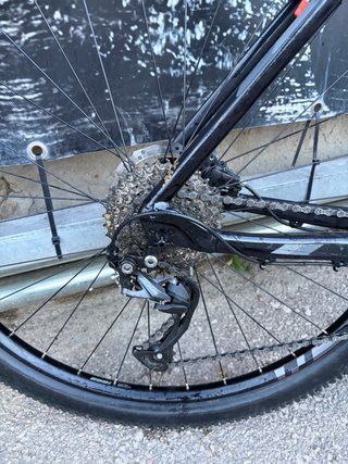 Orbea MX50 29”