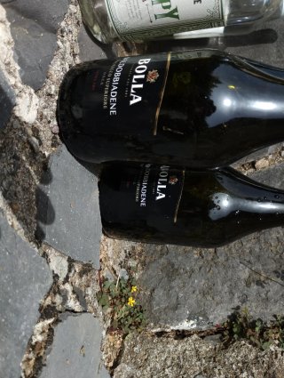 Lotto 7 bottiglie di alcolici vuote