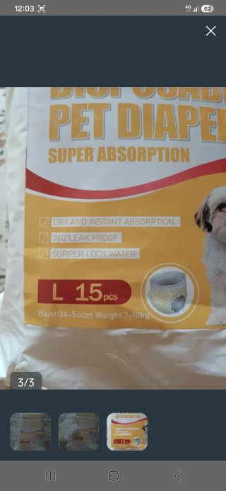 Pannolini per cani