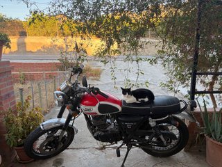 Mash Seventy Five moto naked