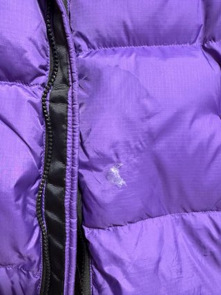 The North Face Nuptse 700 Chaqueta Púrpura