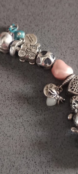 Pulsera Pandora Plata Ley con 21 Abalorios.