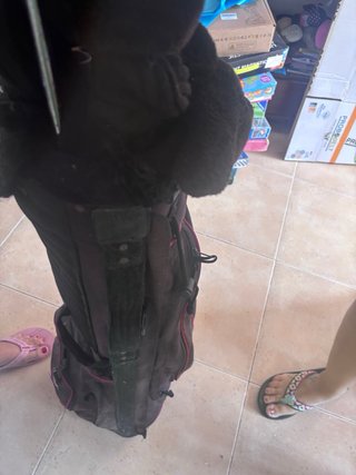 Set Golf Spalding + Bolsa Izzo + Accesorios