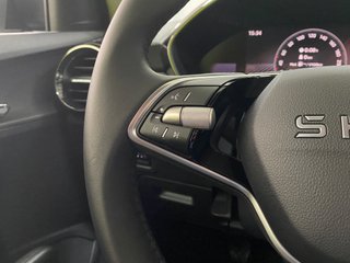 Skoda Fabia Selection 1.0 TSI 95CV