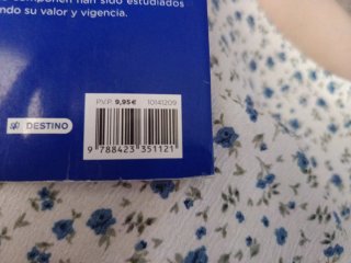 Los niños tontos