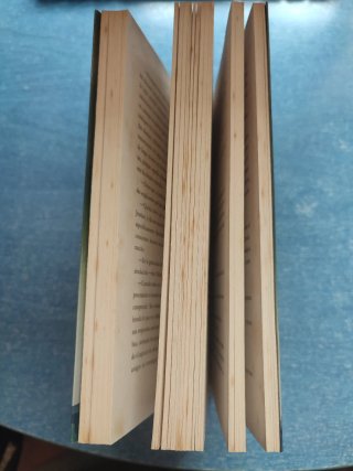 Insurgente (Divergente) (Spanish Edition)