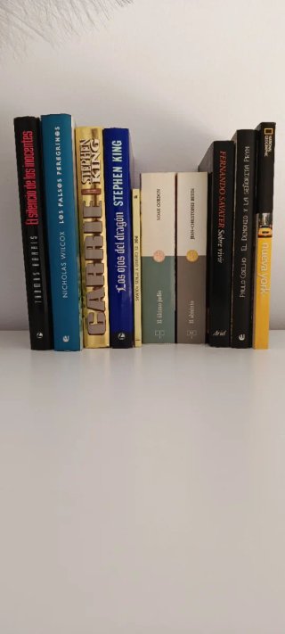Lote de Libros / Bestsellers y Clásicos