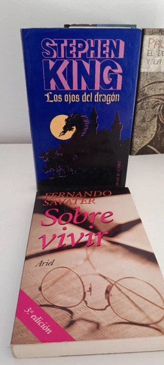Lote de Libros / Bestsellers y Clásicos