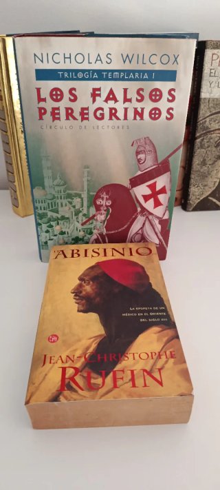 Lote de Libros / Bestsellers y Clásicos
