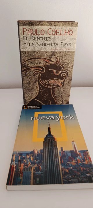 Lote de Libros / Bestsellers y Clásicos